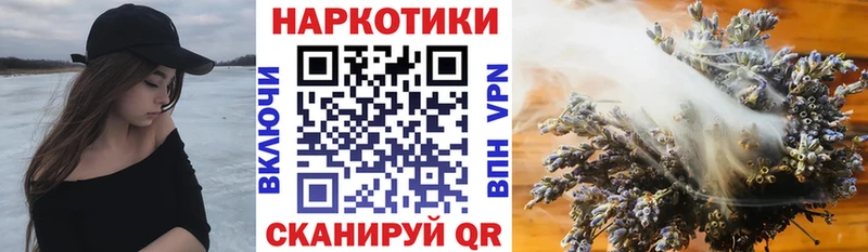 Где продают наркотики Нововоронеж Гашиш  Амфетамин  COCAIN  Меф  МДМА  Канабис 