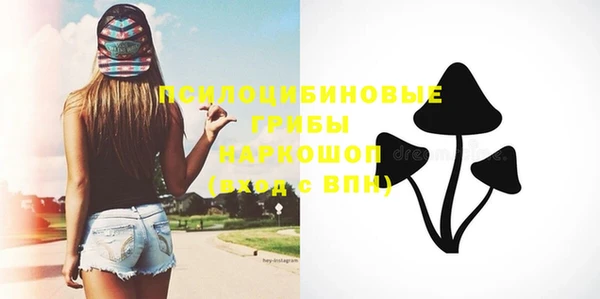 спиды Медногорск