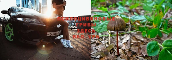 синтетический гашиш Михайлов