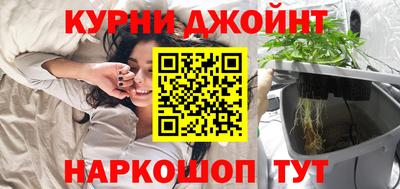 спайс Кингисепп