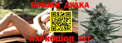 шишки Канаш