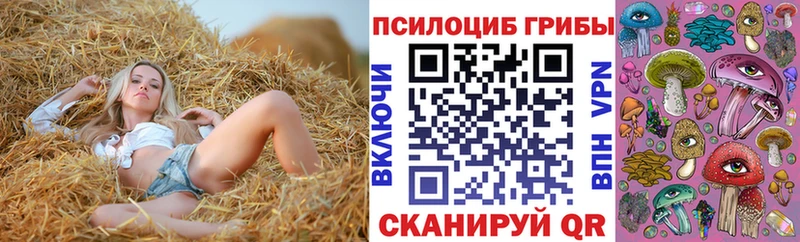 где купить наркоту  Нововоронеж  Псилоцибиновые грибы Cubensis 
