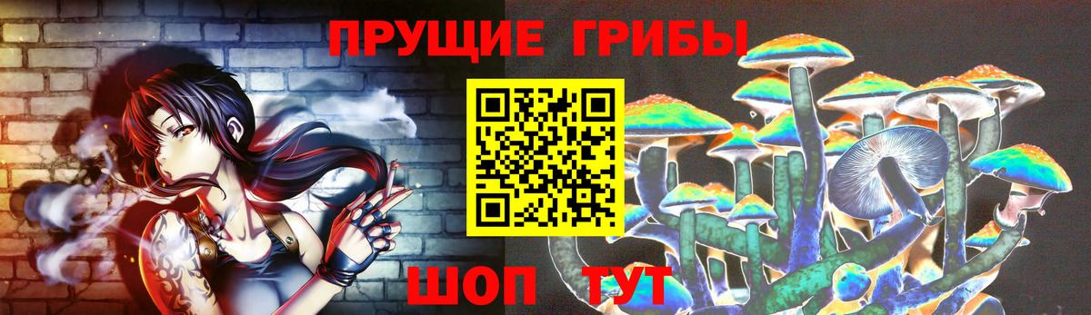 Псилоцибиновые грибы Psilocybine cubensis Нововоронеж